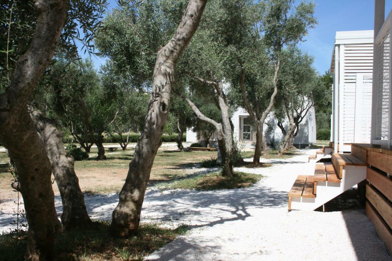 Mobile Homes Katinka, Starigrad Paklenica, Croatia エクステリア 写真