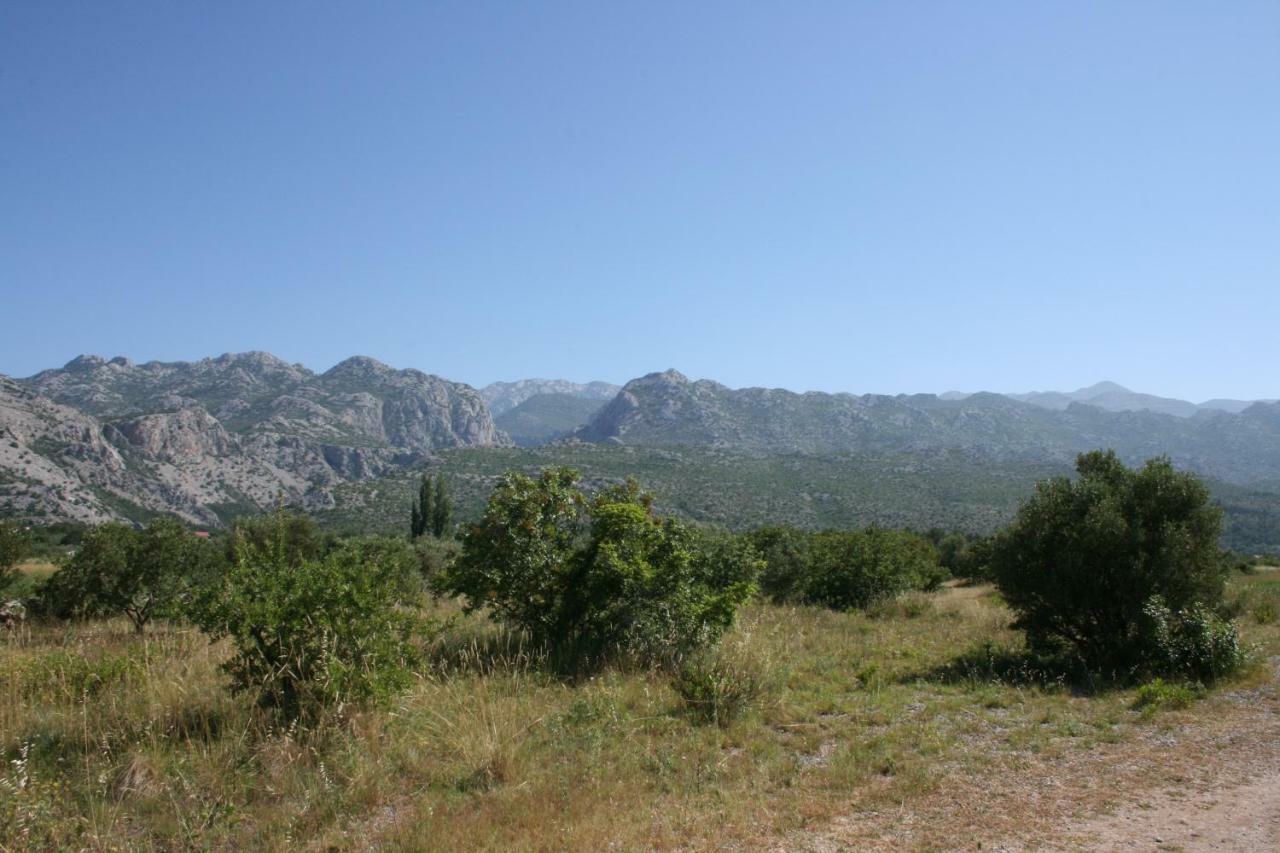 Mobile Homes Katinka, Starigrad Paklenica, Croatia エクステリア 写真
